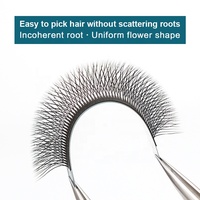 0.05 0.07mm YY Forme Eye Lashes C D Curl Private Label Extensions de Cils Volume Lash Extension