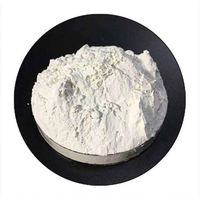 Oxyde de Calcium de Sodium en poudre blanche de qualité alimentaire, approvisionnement professionnel
