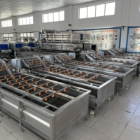 Bellenwasmachine voor de verwerking van diepvriesproducten, garnalen, zeevruchten, groentenreiniger, commercieel, roestvrij staal, food grade