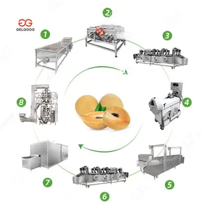 Food Processing Machinery Automatic Washing Slicing Drying Freezing IQF Sapota Chunks Slices Frozen Machine