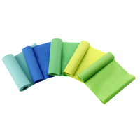 Bandas de Resistencia TPE para Entrenamiento de Fuerza, Fisioterapia y Yoga Pilates, Tipo Tira