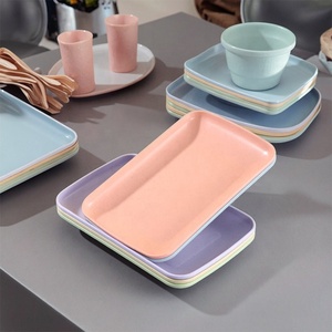 <span class=keywords><strong>Vaisselle</strong></span> hôtel restaurant avec logo personnalisé Assiette en <span class=keywords><strong>plastique</strong></span> mélamine rectangulaire pour plats froids Assiette barbecue - Product Image 2