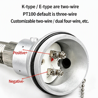 WRNK/WZP-236 K Thermocouple blindé de type PT100 Résistance 0-800 ℃   Sonde de température ODM en acier inoxydable