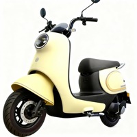 Vélo électrique Falcon 1000W 60/72V, 3 vitesses, autonomie de 31-60 km, cadre en acier carbone de 14 pouces, freins à disque et à tambour