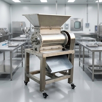 Automatische Mango-pulpmachine, productielijn voor het maken van sap