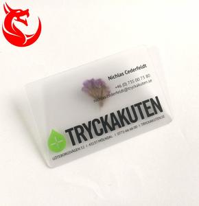 Carte de visite transparente en PVC personnalisée de haute qualité avec impression offset de haute qualité - Product Image 5