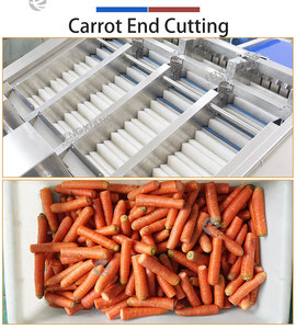 Machine commerciale de découpe de têtes et de queues de carottes 1000 kg/h, ligne de découpe et de finition des extrémités de carottes et de radis pour usine de transformation - Product Image 3