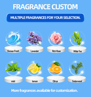 Adoucisseur de tissu à lessive, Boosters parfumés, parfum qui dure longtemps, perles à lessive