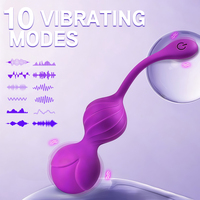 SEXBAY APP Fernbedienungsvibrations-Ei für Frauen, USB-Aufladbares Klitoris-G-Punkt-Massagegerät, Wasserdichtes Erwachsenen-Sexspielzeug