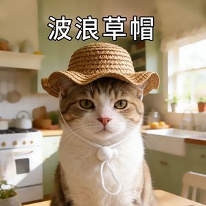 Ichimori Pet Straw <b>Hat</b> Summer Sun Protection Wavy Brim For <b>Cats</b> Dogs Leisure Style Cartoon Design - Product Image 3