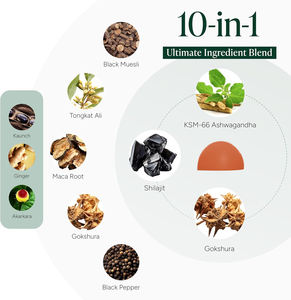 सोलिलन ओम 10-इन-1 अल्फा शिलजीत गुम्मस 75% फुल्विक एसिड प्रतिरक्षा समर्थन रेसिन अश्वगंधा ऊर्जा मका मूल वयस्क हर्बल हर्बल हर्बल हर्बल हर्बल - Product Image 6