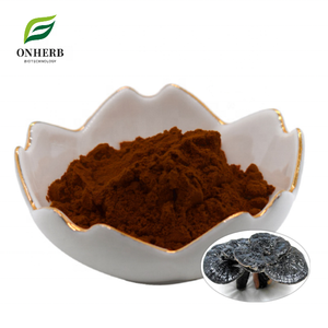 Extracto de Ganoderma <span class=keywords><strong>Atrum</strong></span> (Hongo) Natural Premium, Suministro de Fábrica, Triterpenos 10% en Polvo - Product Image 1