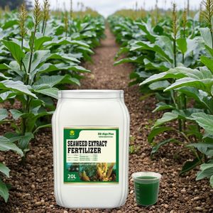 <span class=keywords><strong>Meilleur</strong></span> <span class=keywords><strong>engrais</strong></span> liquide d'algues biologiques avec NPK, stimule la croissance des plantes et améliore le rendement des cultures avec une forte résistance au stress - Product Image 3