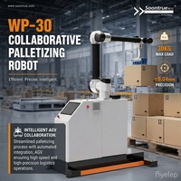 Robot palettiseur automatique électrique pour emballage de cartons en verre, bras robotisé collaboratif de 40 kg de charge utile pour ligne d'emballage