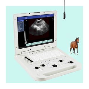 <span class=keywords><strong>Precio</strong></span> de ultrasonido portátil, máquina de ultrasonido, instrumento veterinario, ultrasonido equino <span class=keywords><strong>para</strong></span> animales/ganado, vaca, caballo, Cabra, uso - Product Image 1