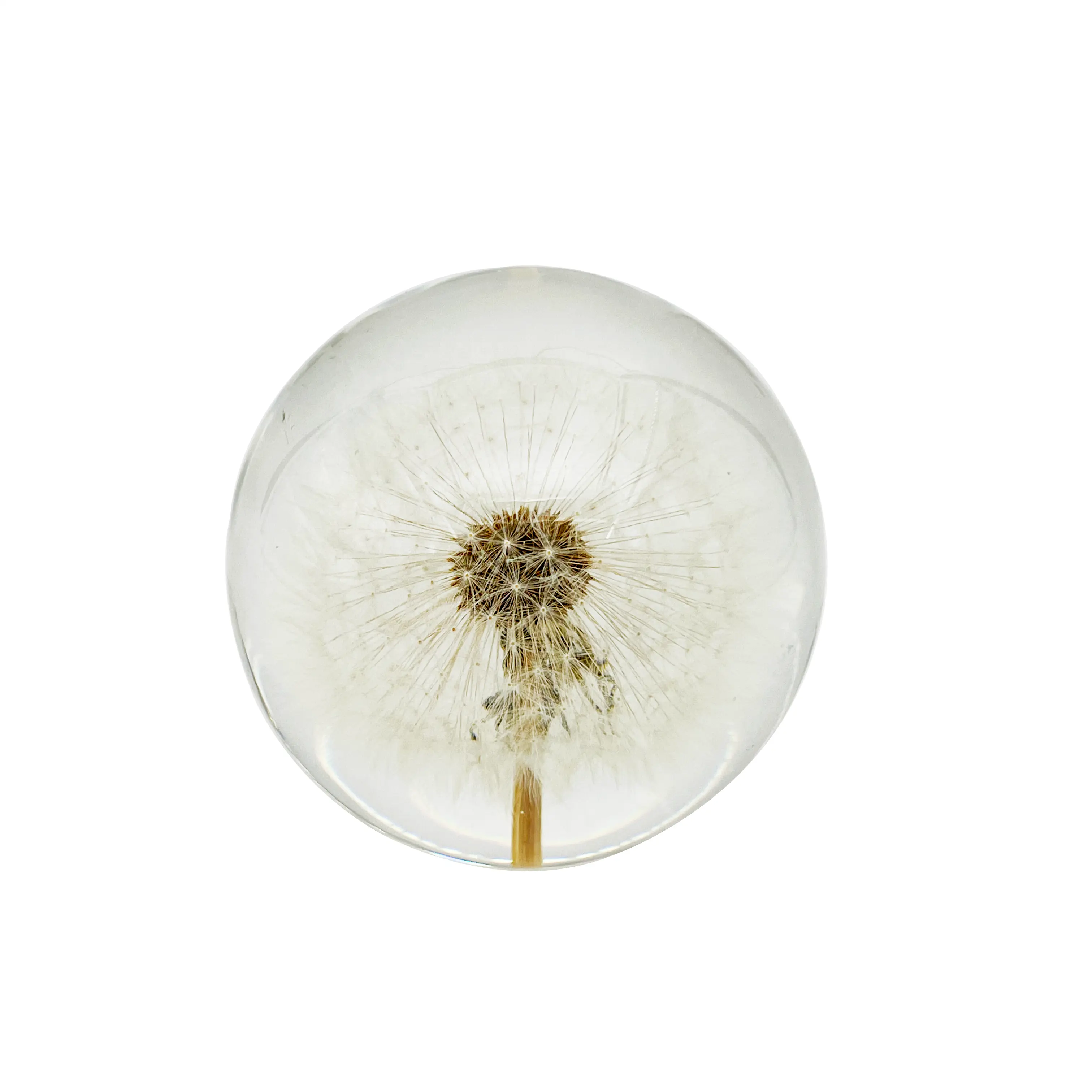 Dried flower crystal ball dandelion paperweight unique dandelion resin globe novelty gift