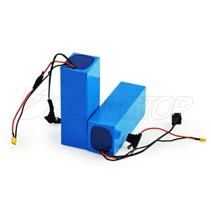 Tùy chỉnh e-xe đạp xe máy Escooter pin lithium 24V 36V 48V 60V 72V 10AH 12Ah 20Ah 30Ah 50Ah 80Ah Lithium Ion Batt