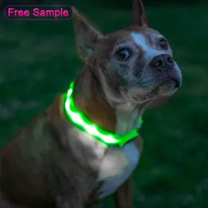 Collier pour chien en Nylon à LED pour chat, collier lumineux Fluorescent pour chien et chien, clignotant de sécurité nocturne, brille dans le noir, laisse pour chien, fournitures pour animaux de compagnie