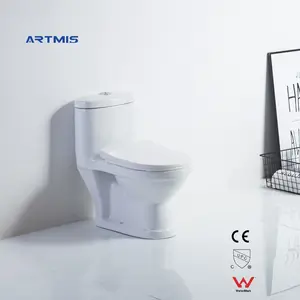 Factory Wholesale European Style Bathroom Creamic One Piece Toilet Floor Mounted Toilet