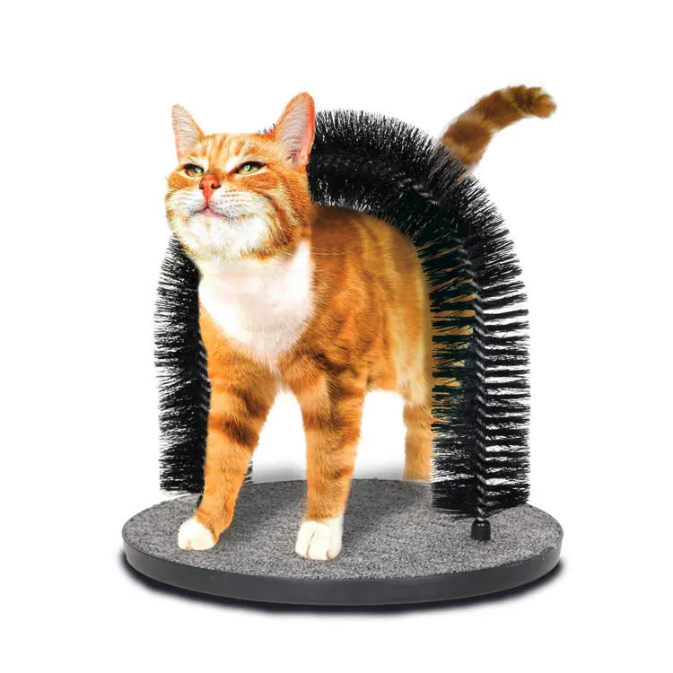 Günlük interaktif kedi bakım dayanıklı kıl kedi sürtünme kemer kendini Groomer kedi kemer