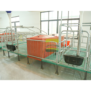 Jaula <span class=keywords><strong>de</strong></span> Parto Doble Estilo Chino - Corral Económico para Dos Cerdas, Galvanizado en Caliente, Uso Agrícola - Product Image 3