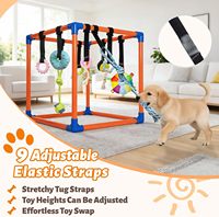 Sangle de saut à l'élastique en PVC de haute qualité pour chien, jouet d'exercice écologique pour animaux de compagnie, jouets suspendus pour aire de jeux intérieure