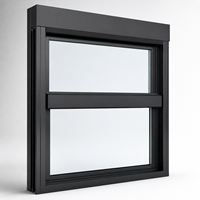 Ventana Elevadora Eléctrica OEM Personalizada con Opciones de Color y Material para Proyectos de Renovación de Edificios Comerciales