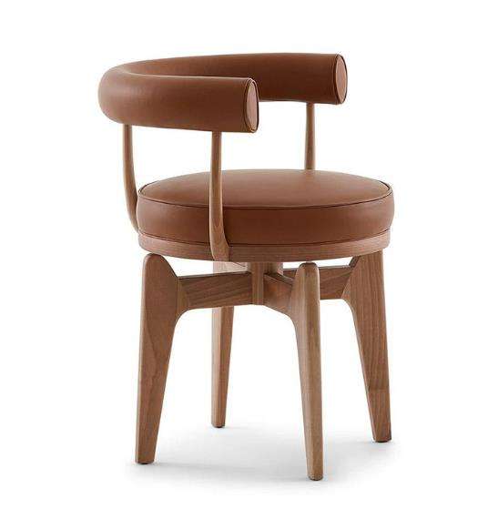 สีน้ำตาล