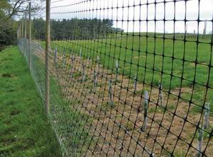 Lưới Hàng Rào Hươu Bằng Nhựa Cường Độ Cao, 50 GSM Animal Farm Field Control <span class=keywords><strong>Net</strong></span>, Black <span class=keywords><strong>Deer</strong></span> <span class=keywords><strong>Fencing</strong></span> - Product Image 6