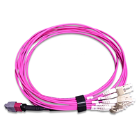 24F MTP to 12 LC DX Fanout Cable Fiber Optic Patch Cord CO-NET Brand FTTH/WDM Use