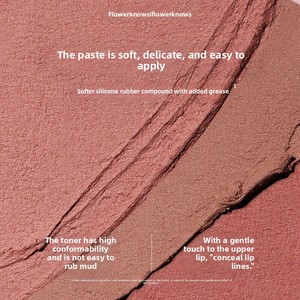 Flower Knows Serie Little Angel C09 Black Angel Lip Mud Stick Rossetto Opaco Naturale Versatile Illuminante Regalo per le Feste - Product Image 4