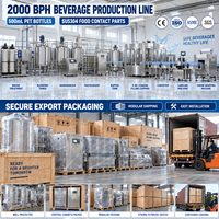 Ligne de production automatique de boissons 2000BPH avec machine de remplissage, de bouchage et d'emballage de bouteilles PET 3-en-1