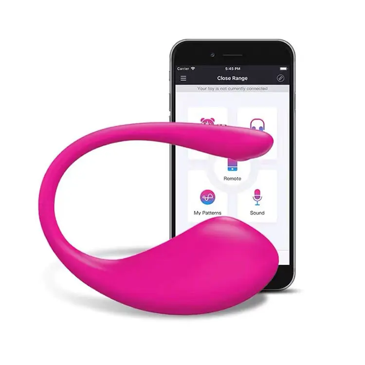 Wearable Rechargeable Wireless Vibrator Massage Toys for Women Lover Lesbins 