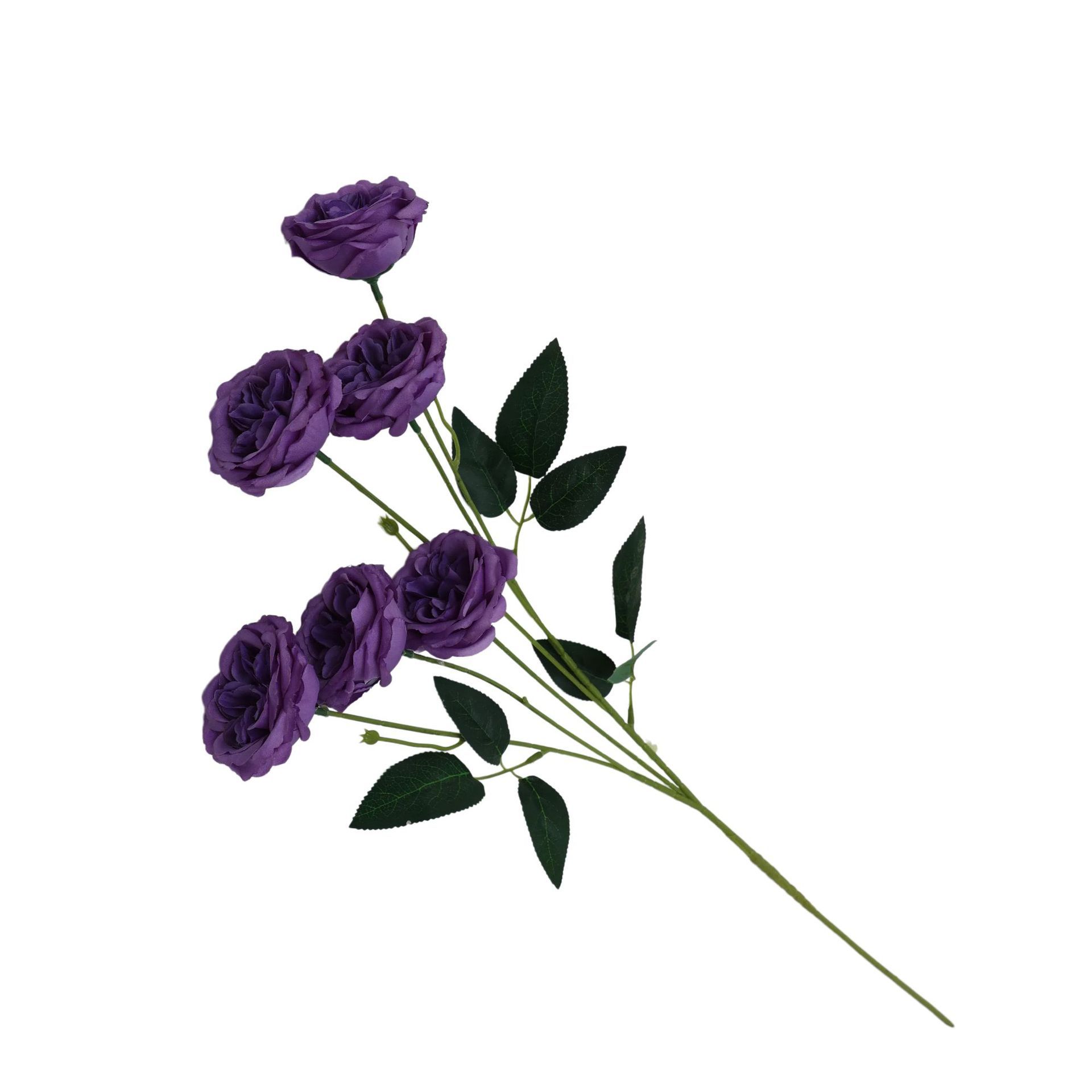 Violet foncé