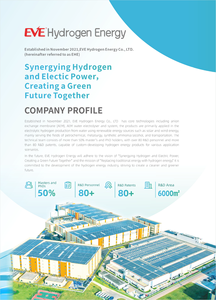 Generador <span class=keywords><strong>de</strong></span> Hidrógeno EVE Hydrogen Energy <span class=keywords><strong>Serie</strong></span> ISM, Pureza del 99.9%-99.999%, 2-5 Nm/h, Arranque Rápido en Frío en 10 Minutos, 0-0.6 MPa, 4.3 KWh/Nm - Product Image 5
