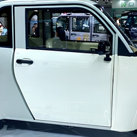 Tricycle électrique à basse vitesse, carrosserie fermée, châssis en acier robuste, 2 places, mini camionnette pour le transport de petites charges