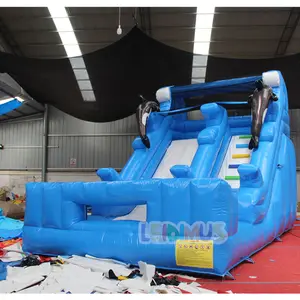 상업용 20ft 작은 고래 어린이 워터 슬라이드 여름 PVC 풍선 워터 파크