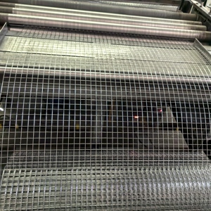 Welded Galvanized Steel <b>Wire</b> <b>Mesh</b> Roll Protective Fence <b>Mesh</b> for Farm Use - Product Image 6