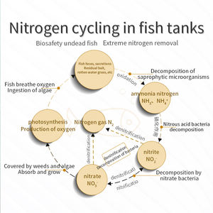 BQ N2 probiotik untuk akuarium air tawar dan air laut Nitrogen-Menghilangkan dan denitrifikasi bakteri untuk kesehatan akuatik - Product Image 4