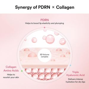 Korean Glazed Jelly Lip Butter Balm PDRN Collagen Lip Mask Cuidado hidratante Tratamiento hidratante <span class=keywords><strong>para</strong></span> <span class=keywords><strong>labios</strong></span> secos durante la noche - Product Image 5