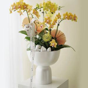 فالاينوبسيس خاص غير لامع تصميم عصري راقي أسود فازة فنية مجموعة زهور كبيرة عالية القدم - Product Image 4