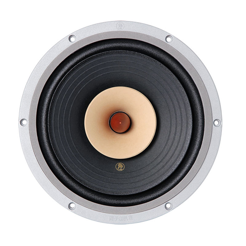 LS-09 Silver-10 10 Inch Flagship Full-range Speaker 25-50W /8Ohm /LII AUDIO  FAST-10/crystal-10 FULL/crystal-10/MUSIC-10 Pair