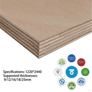 Ván ép xây dựng Trung Quốc làm bằng Veneer bạch đàn, thích hợp cho đồ nội thất, tủ, và đáp ứng tiêu chuẩn e0. - Product Image 3