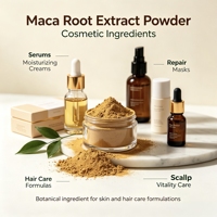 Poudre d'extrait de racine de Maca 10:1, 0,5%, 0,6%, 1%, 2% pour complément alimentaire avec service OEM, poudre d'extrait de Lepidium Meyenii