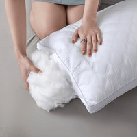 Oreiller Hilton à Bas Prix, Oreiller de Lit à Double Bordure 800g, Remplissage Velours Plume, Oreiller Cervical pour Dormir