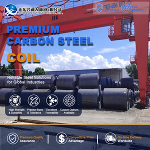 Slitting SAE1006 S355JR Pickled Pickled and Oiled 5mm 1219mm EN 10025 Carbon Steel Roll for Shipbuilding - Product Image 1
