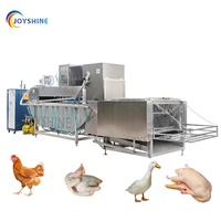 Équipement d'abattage automatique Halal pour volailles, machine de traitement, d'échaudage et de plumage de poulets à vendre