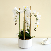 Phalaenopsis Kunstbloemen Kunstmatige vlinderorchidee Grote plantenpotten Keramische plantenpotten Bloempotten voor thuisdecoratie
