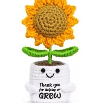 White Pot Sunflower Grow