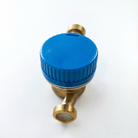 DN15 Brass Body Mechanical Single Jet Dry Dial Hot/Cold Water Meter for Domestic Use